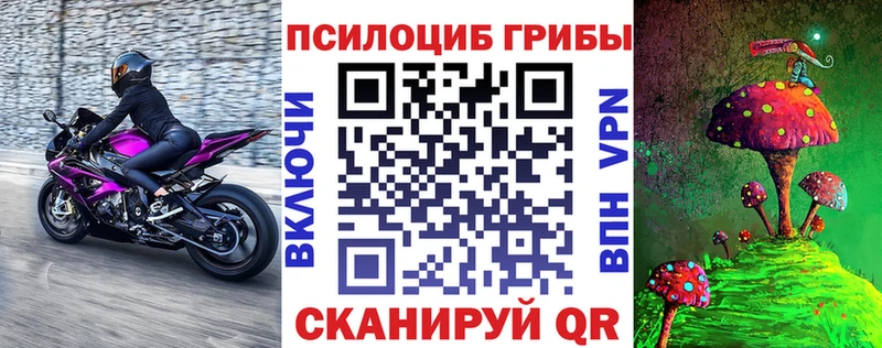 Купить  Никольское  Галлюциногенные грибы прущие грибы 